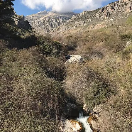 Garganton